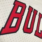 Chicago Bulls 97-98 Mitchell & Ness Michael Jordan