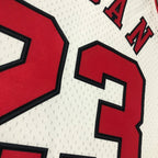 Chicago Bulls 97-98 Mitchell & Ness Michael Jordan