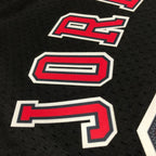 Chicago Bulls 97-98 Mitchell & Ness Michael Jordan