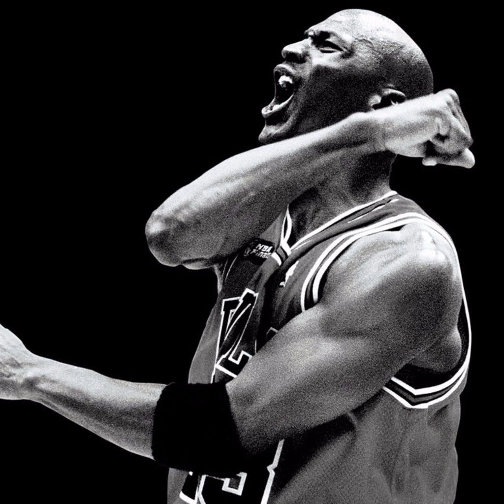Chicago Bulls Jordan MVP Edition
