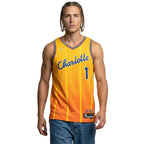 Charlotte Hornets Jersey City Edition