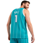 Charlotte Hornets Swingman Icon
