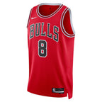 Chicago Bulls Swingman Icon