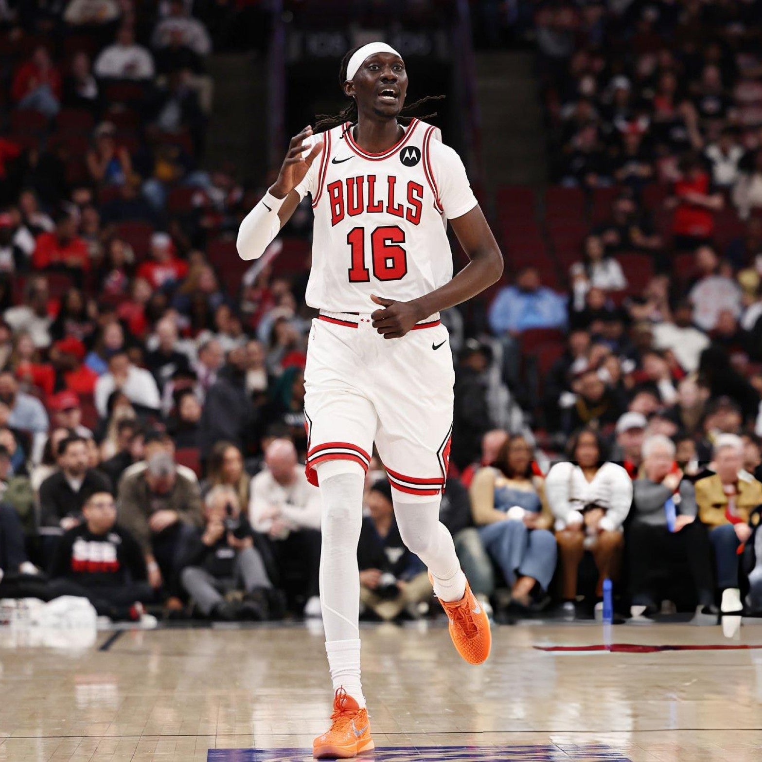 Chicago Bulls Statement Edition