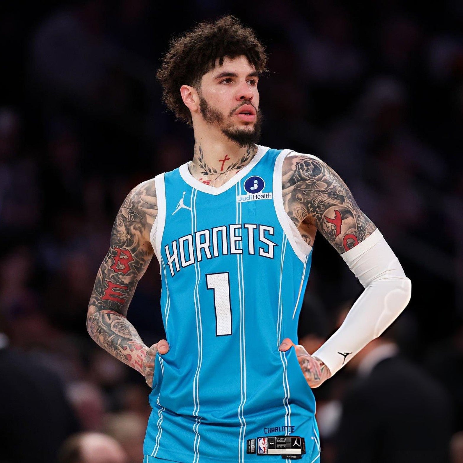 Charlotte Hornets Swingman Icon